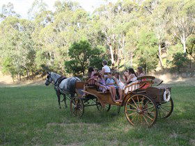 Classic Carriage Drives - Events Australia 3