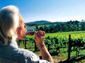 Ashton Hills Vineyard - Accommodation Europe 0