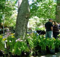 The Stirling Market - Events Australia