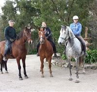 Academy of Dressage - Events Australia