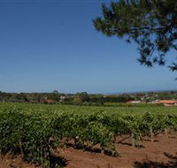 Grancari - Events Australia