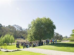 Howard Vineyard - Events Australia 1