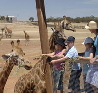 Monarto Open Range Zoo - Events Australia