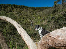 Ingalalla Waterfalls - Events Australia 1