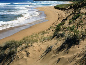 Newland Head Conservation Park - Events Australia 0