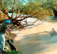 Charleville - Ward River Fishing Spot - Events Australia