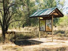 Charleville Self-Drive Itineraries - Events Australia 0