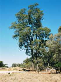 Charleville Self-Drive Itineraries - Events Australia 1