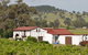 Bell River Estate Winery - thumb 6