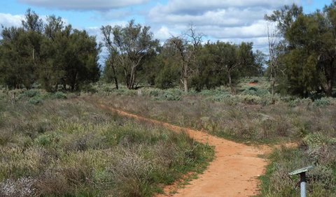 Grasslands Nature Trail - Events Australia 0