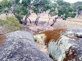 Tolmer Rocks - Events Australia 1