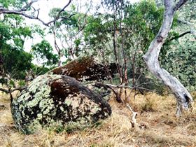 Tolmer Rocks - Events Australia 2