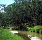 Salvator Rosa Section - Carnarvon National Park - Events Australia
