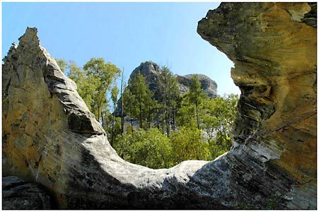 Salvator Rosa Section - Carnarvon National Park - Events Australia 1
