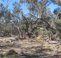 Mirri Mirru Yurun - Events Australia