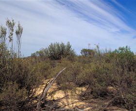 Wyperfeld National Park - Events Australia 0