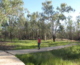 Ben Scott Memorial Bird Trail - Events Australia 0