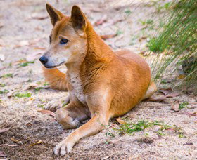Territory Wildlife Park - Tourism Bookings 2