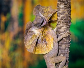 Territory Wildlife Park - Tourism Bookings 1