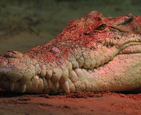 Territory Wildlife Park - Tourism Bookings 3