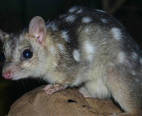 Territory Wildlife Park - Tourism Bookings 6