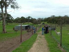 Avenue Range ACT Events Australia