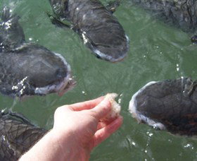 Aquascene - Events Australia 1