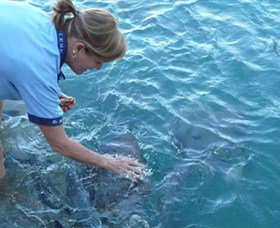 Aquascene - Events Australia 2