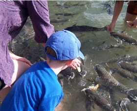 Aquascene - Events Australia 0