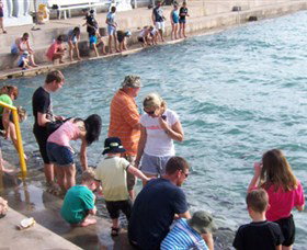 Aquascene - Events Australia 3