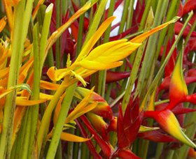 Parap Markets - Events Australia 1