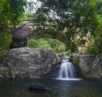 Paluma and Crystal Creek Rainforest - Events Australia