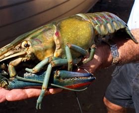 Fairbairn Dam, Lake Maraboon - Events Australia 3