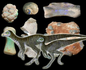 Australian Opal Centre - Events Australia 2