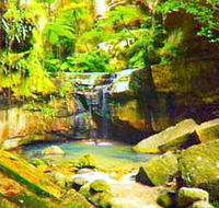 Carnarvon Gorge Carnarvon National Park - Events Australia
