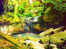 Carnarvon Gorge, Carnarvon National Park - Events Australia 0
