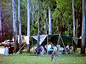 Carnarvon Gorge, Carnarvon National Park - Events Australia 2