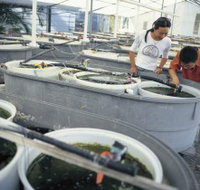 James Cook University of North Queensland - Events Australia