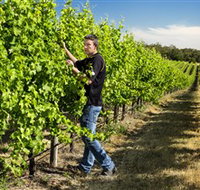 Patrick of Coonawarra - Events Australia
