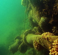 Wreck Diving at Magnetic Island - Events Australia