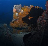 Lady Bowen Dive Site - Events Australia