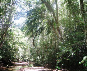 Julatten QLD Events Australia