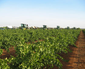 Warburn Estate - Events Australia 1