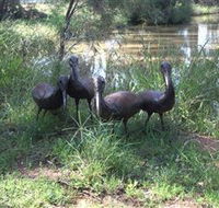 East Tolans Farm Tour - Events Australia