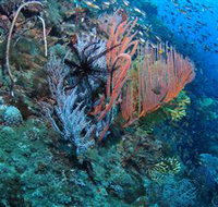 SS Yongala Dive Site - Events Australia