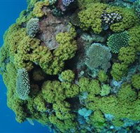 Keeper Reef Dive Site - Events Australia