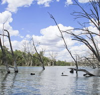 Murrumbidgee Valley National Park - Events Australia