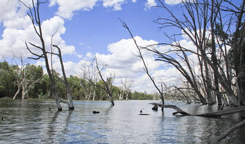 Murrumbidgee Valley National Park - Events Australia 0