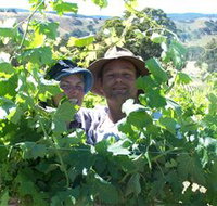 Wimmera Hills Winery - Events Australia