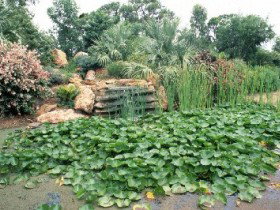 Mackenzie Park - Events Australia 0